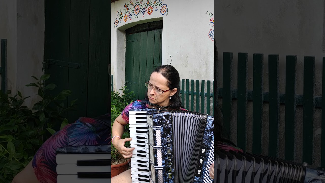 Hvězdy nad Vltavou -accordeon-akordeon