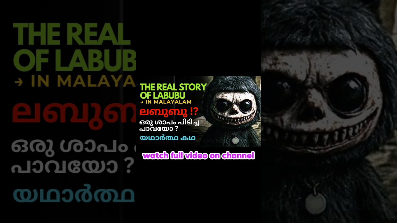 Labubu doll story explained in Malayalam | Labubu History| Labubu cartoon #shorts #labubu #animation