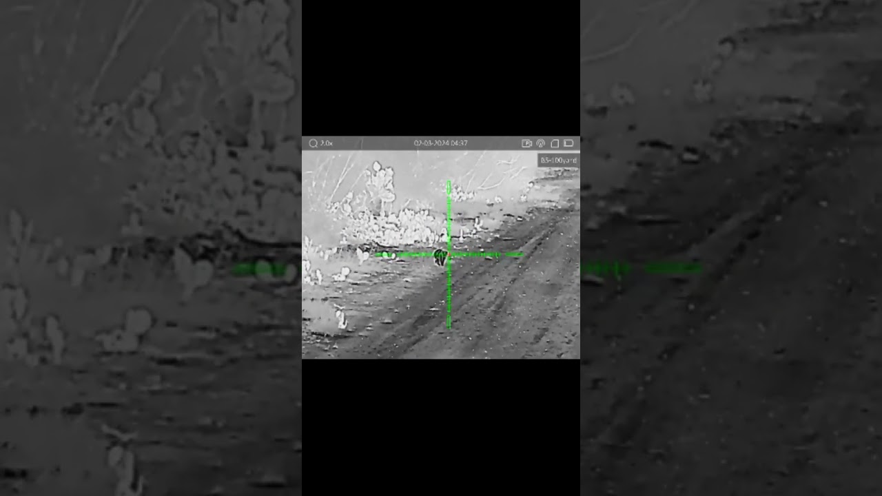 AGM Rattler V2 Vs. Trash Panda 