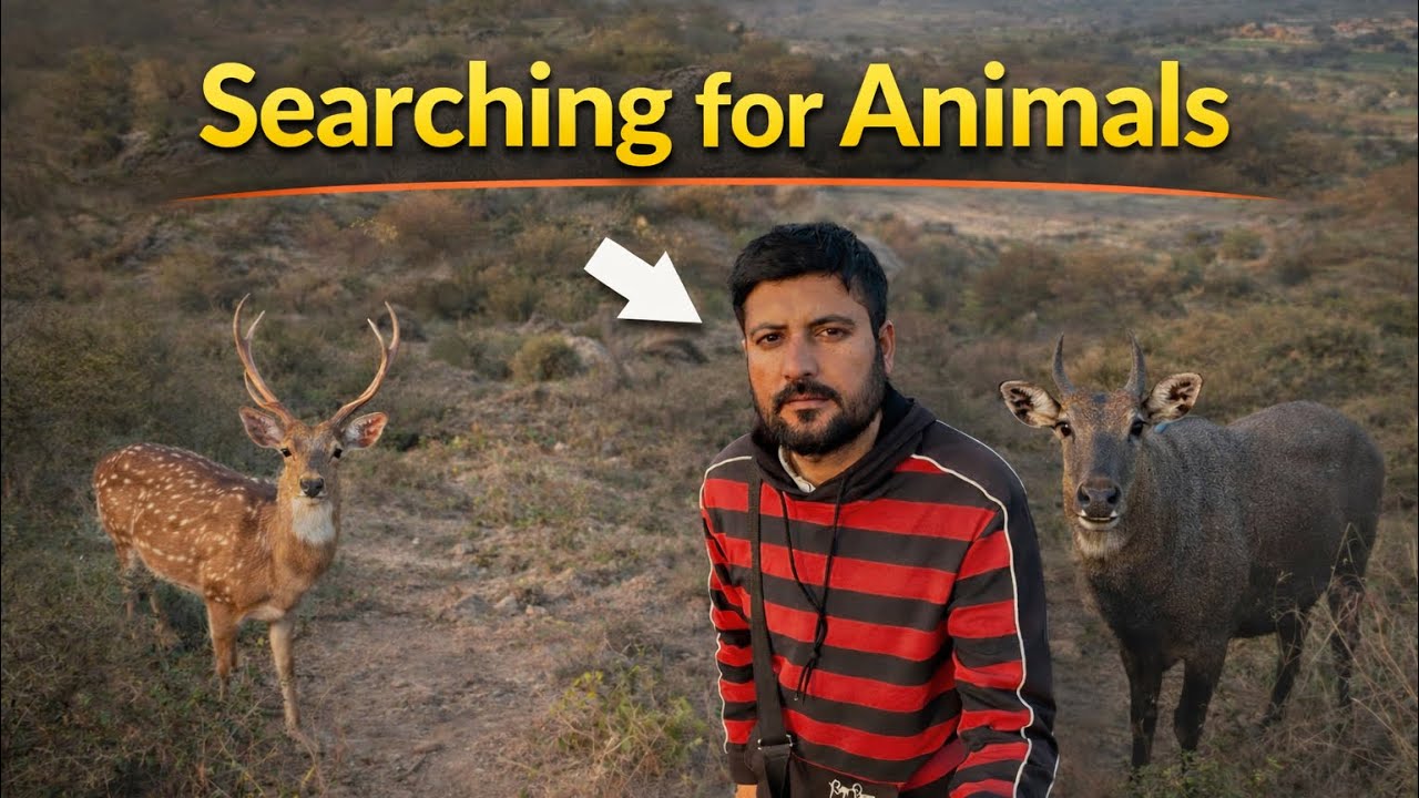 Subah Subah Village Jungle Mein Janwaron Ki Talaash | Real Morning Wildlife Vlog 2026