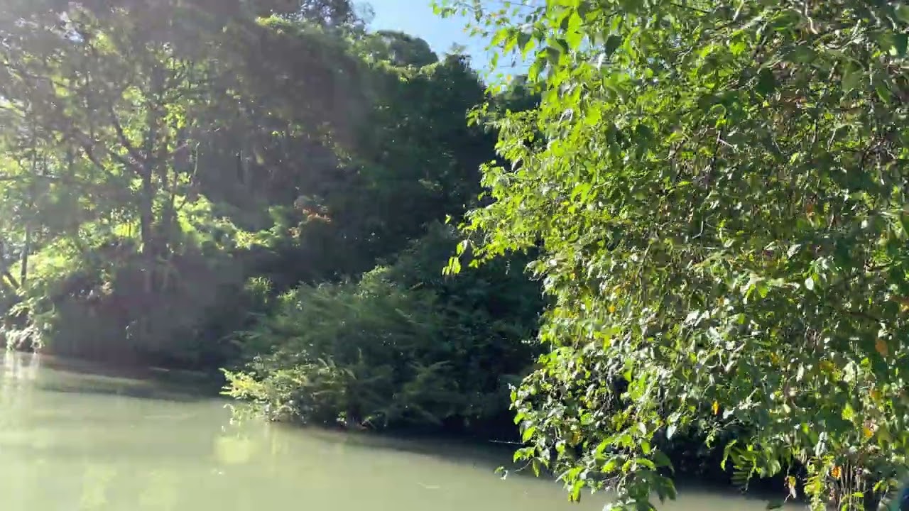 Cruising up the Rio Esquinas, Golfo Dulce, Osa Peninsula, Costa Rica February 2022