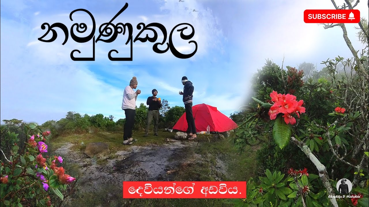 Namunukula Camping Night | නමුණුකුල 🏕️❄️| Camping Adventure Hike | Travel Vlog| Exploring Sri Lanka
