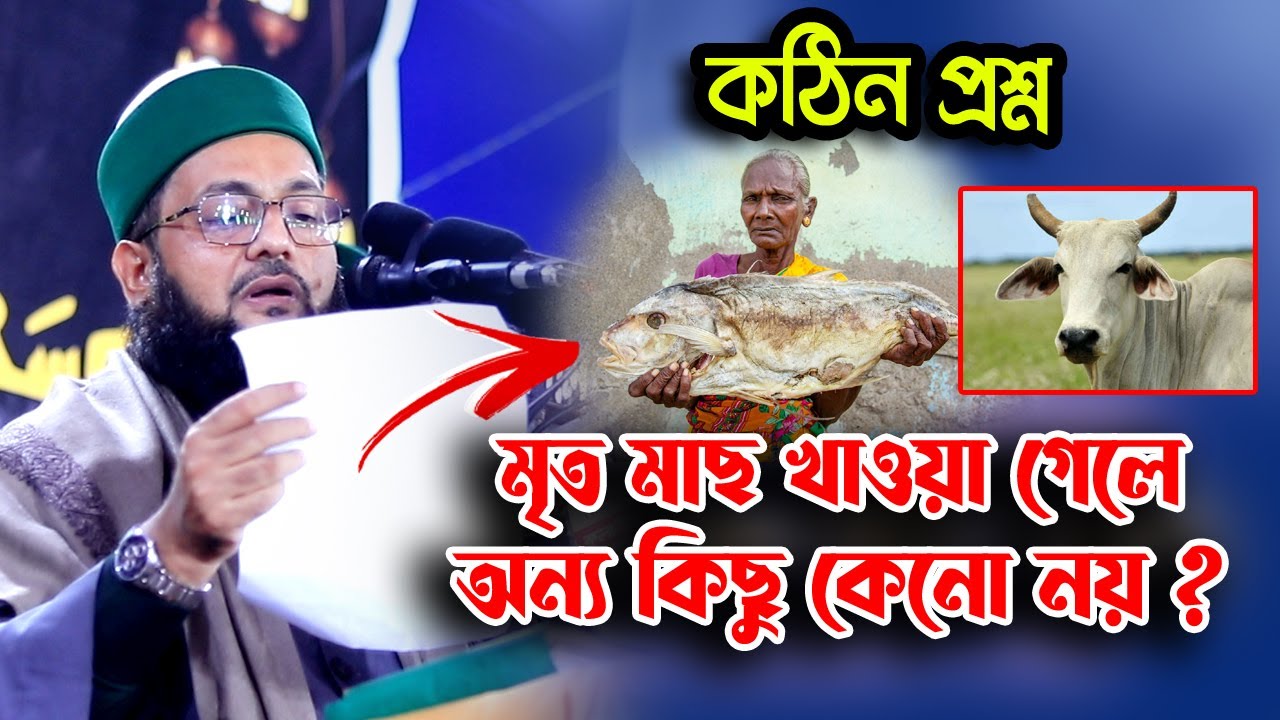 অবাক করা প্রশ্নের উত্তর😲😲এনায়েতুল্লাহ আব্বাসী প্রশ্নের উত্তর✅Anayet ullah abbasi proshner utthor