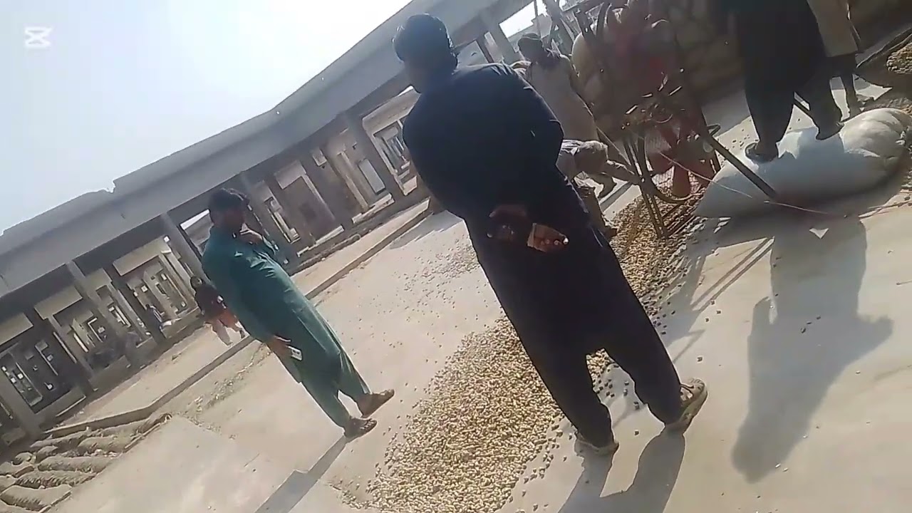 Sukhur city 🤹visit shuhara mandi mungfhali ki kharidari peanut 🥜🥜🥜 price 40kg 20,000