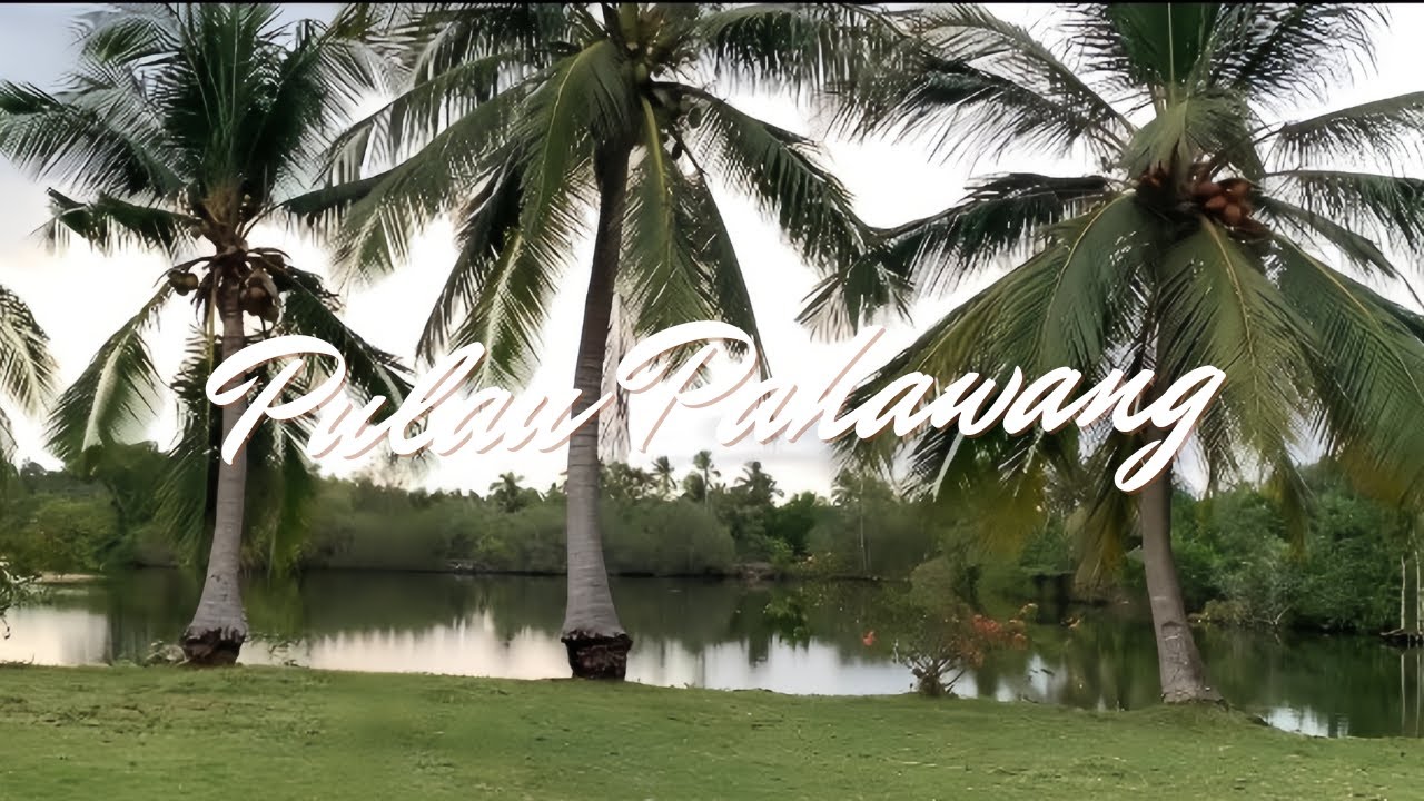 Natural Beach Life With Pahawang Island 🌊.