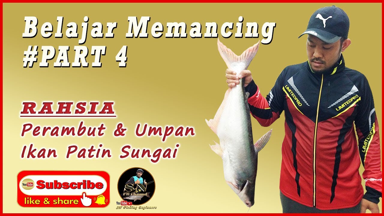 Belajar Memancing PART4 (RAHSIA Perambut & Umpan PATIN SUNGAI + Cara Melontar / Balingan Umpan)