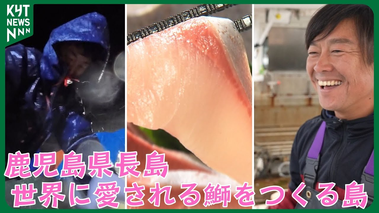 【鹿児島県長島】　世界に愛される鰤をつくる島　～マーケットは世界へ！！～