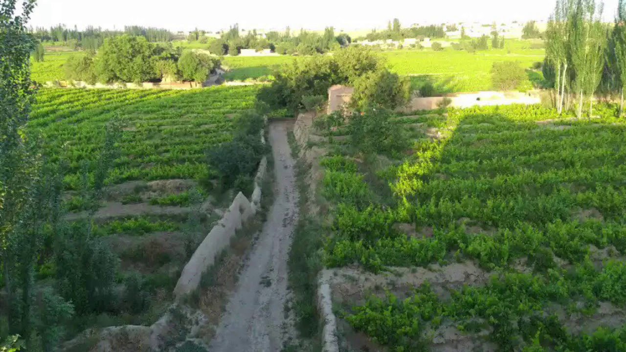 خواندن اوزبیکی محمد چوپاش