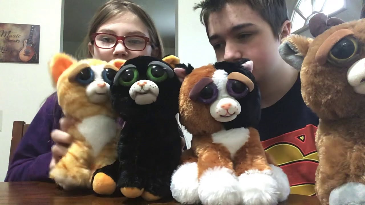 Feisty pets unboxing