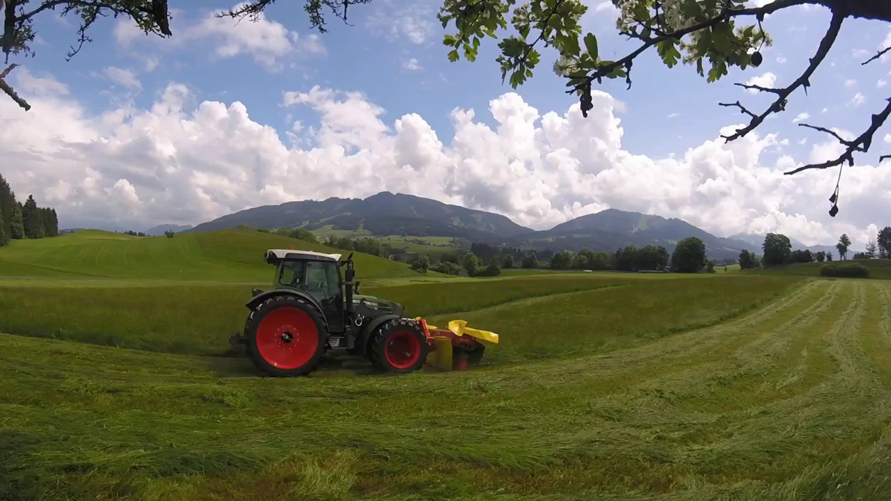 Mähen 1. Schnitt 2018 I Fendt Vario, Pöttinger Novaalpin