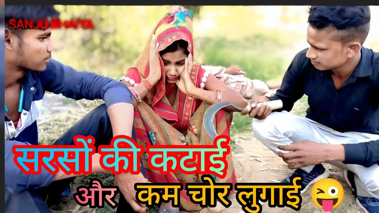 सरसों की कटाई और काम चोर लुगाई 😜 || sarso ki katai or kam chor lugai  ||comedy video ||funny video 🫣