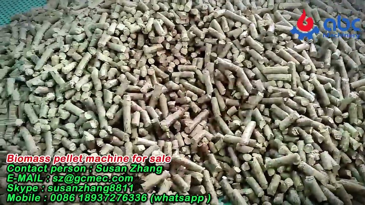 🔥 Vertical Ring Die Pellet Mill | Next-Gen Biomass Pellet Machine for Maximum Profit