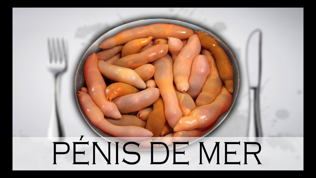 LE POISSON PÉNIS - UN VER AUBERGISTE - À Votre Table #11