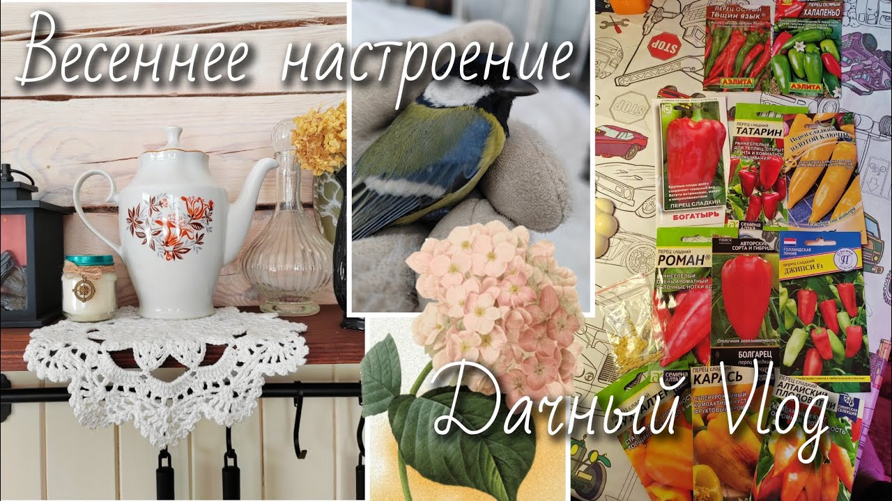 Встречаем весну на даче 2026год #home #купилидом #уют #покупкидлякухни 