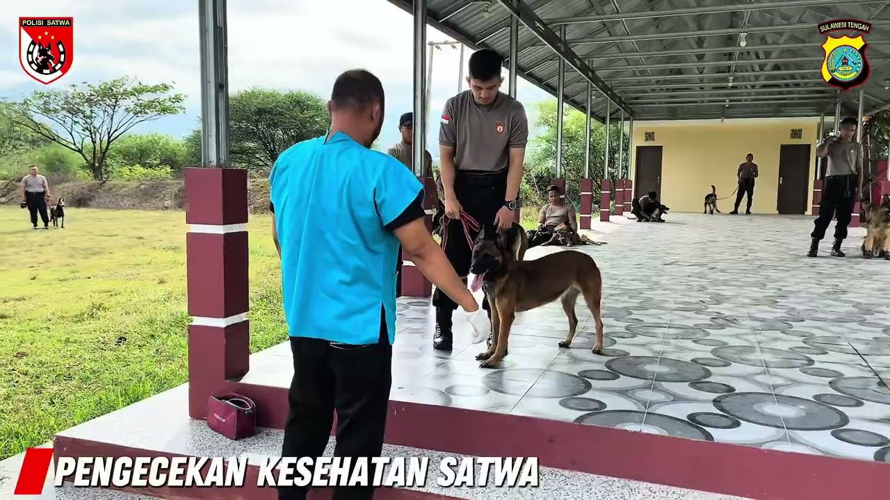 Giat Latihan PBB & Pengecekan Kesehatan Pada Satwa💥