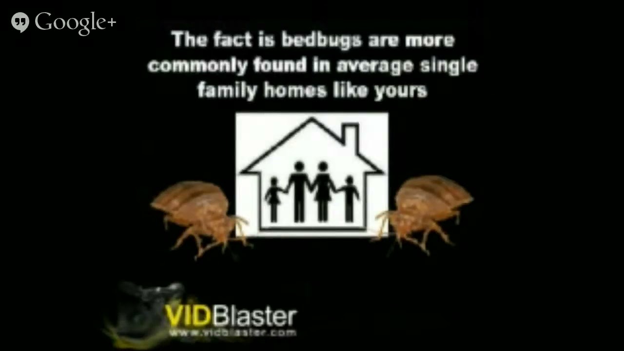 Emergency Bed Bug Service- (862) 701-2076 - Pest Control Services NJ