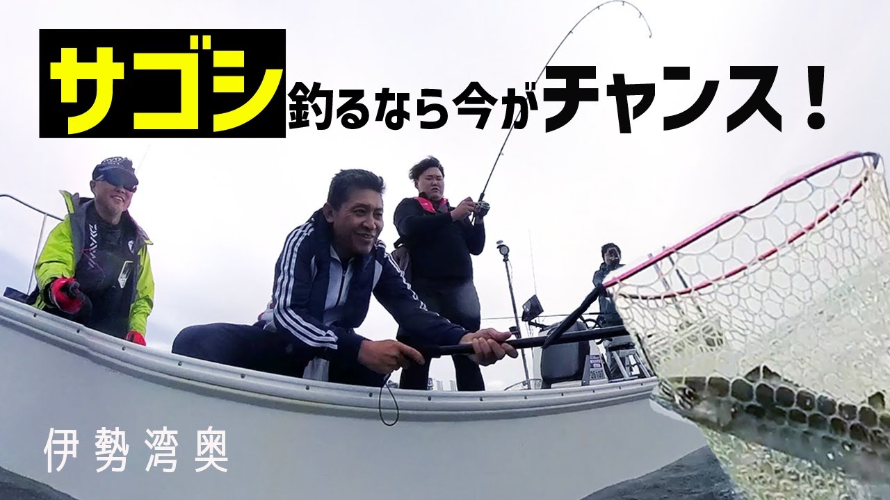 【サゴシ・サワラ】釣るなら今がチャンス