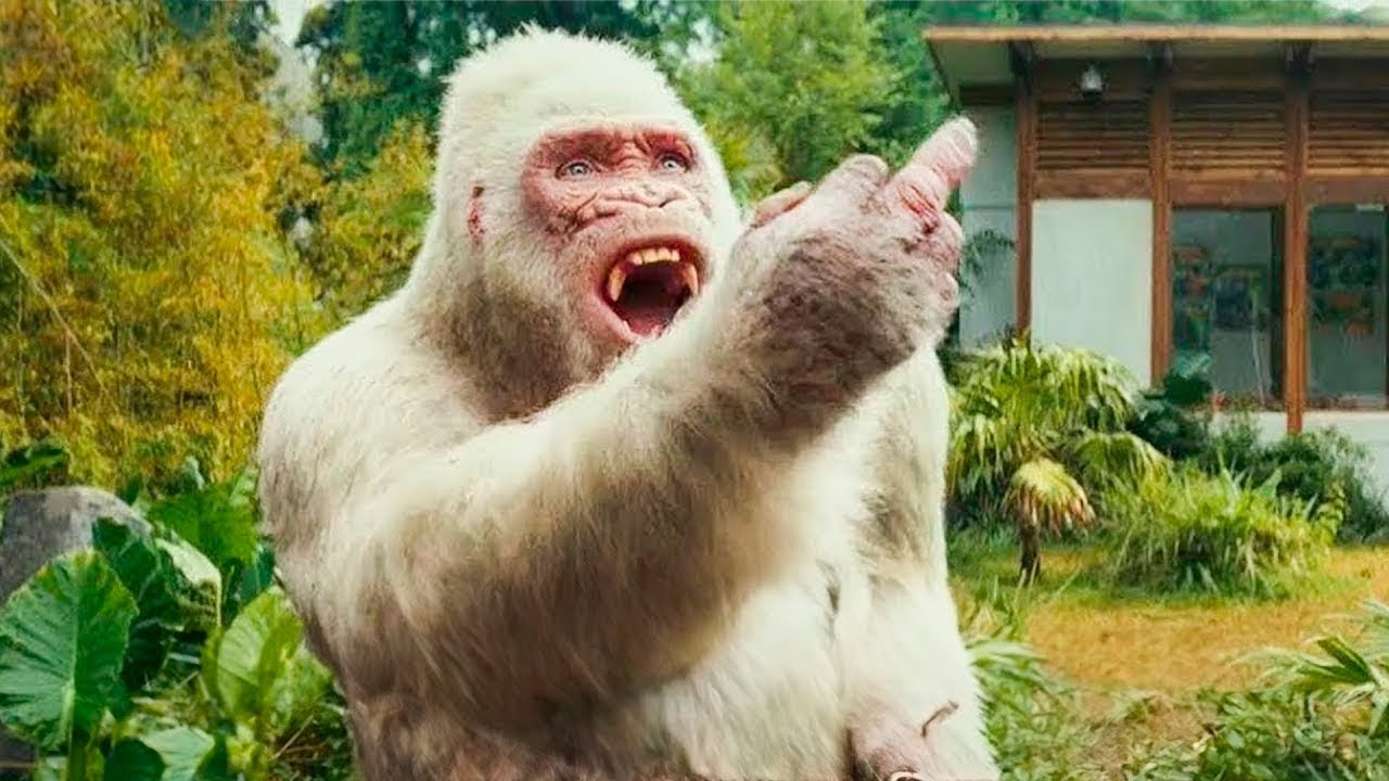 Oamenii au modificat ADN-ul animalelor fără să-și dea seama de consecințe...