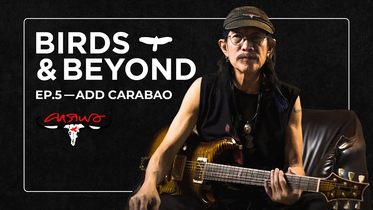 Birds & Beyond | EP.5 : สนทนาภาษาคนรักกีตาร์กับตำนาน PRS เมืองไทย "แอ๊ด คาราบาว" (Add Carabao)