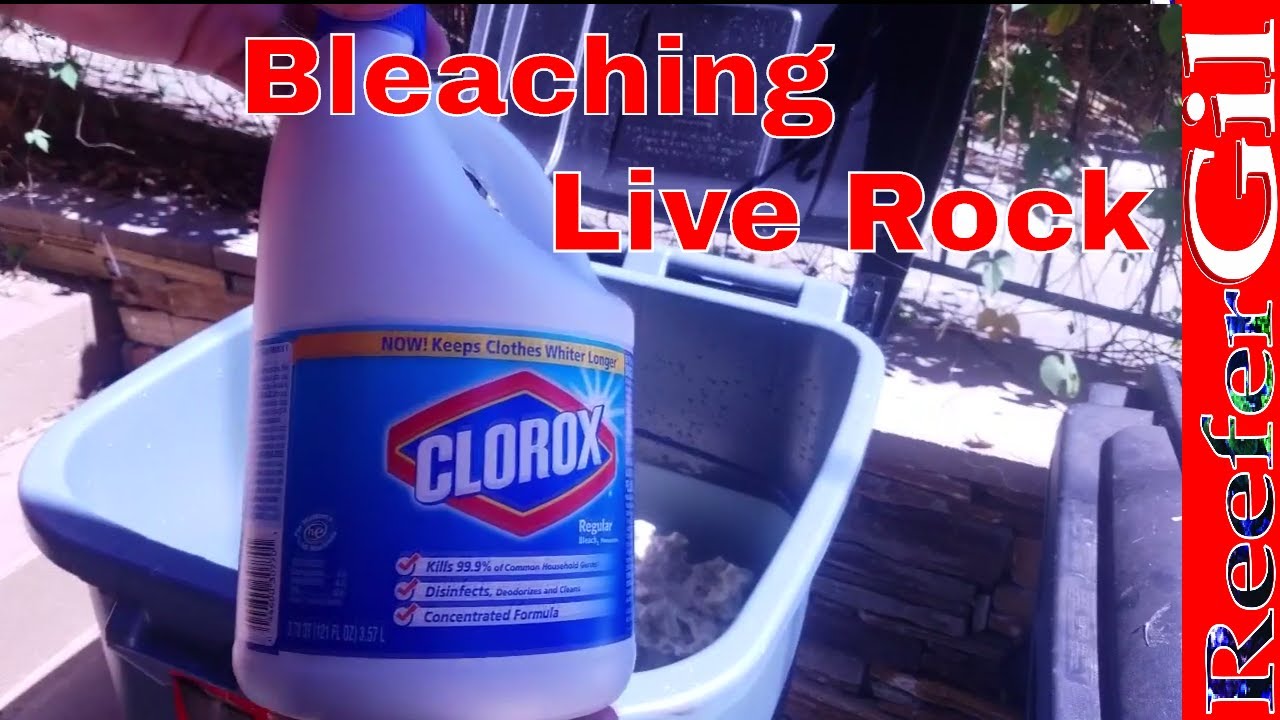 Build Series|Eps. 6| Bleaching Live Rock: Saltwater Aquarium
