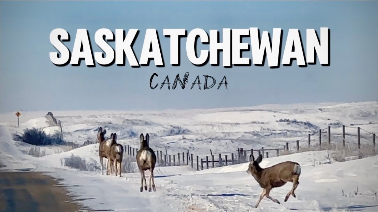 Discover the Beauty of Saskatchewan | Exploring the Heart of Canada 🇨🇦 | 4k video