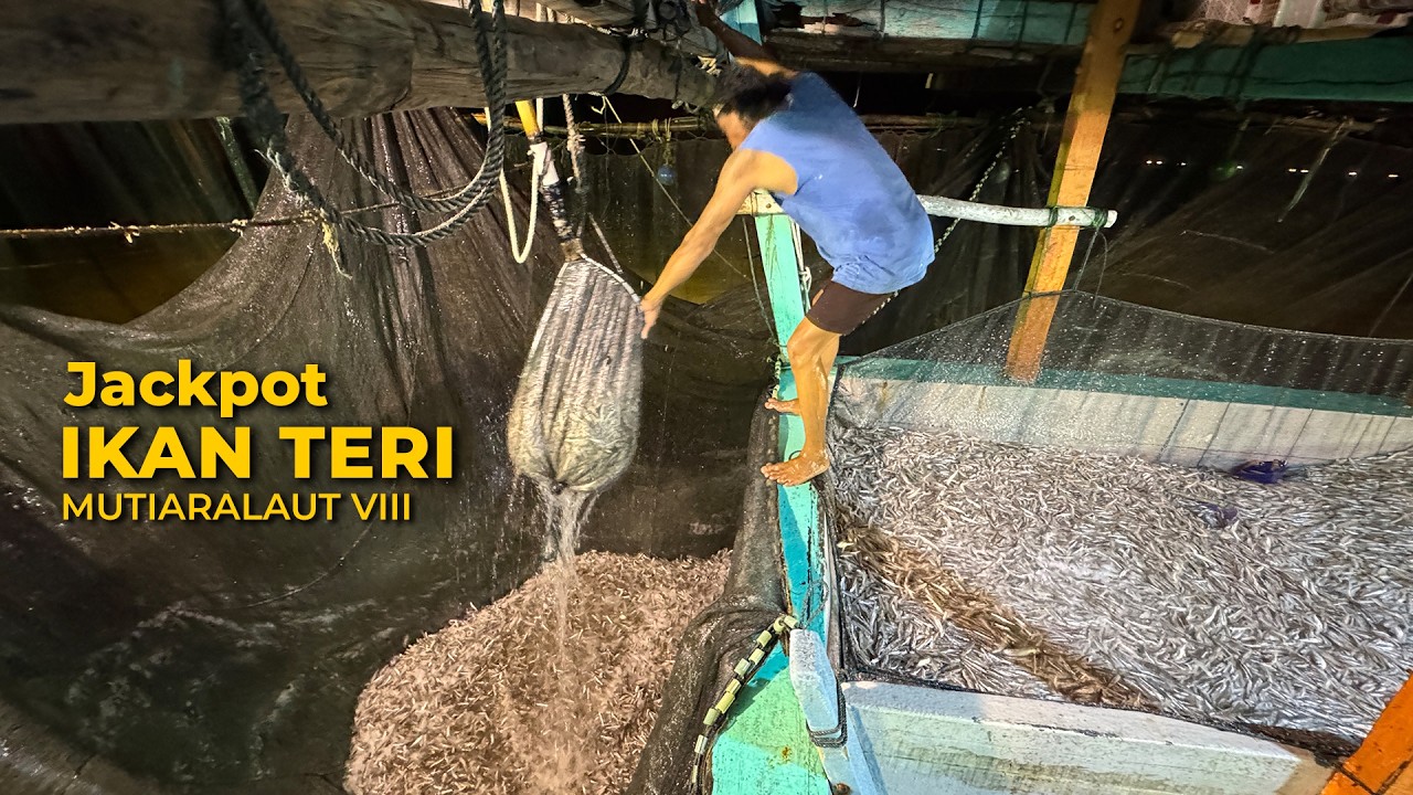 Subhanallah! Jackpot Ikan Teri Saat Ramadhan | Bagan MutiaraLaut VII