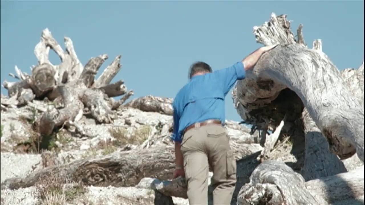 Repórteres visitam vulcão adormecido que destruiu cidade chilena há 10 anos