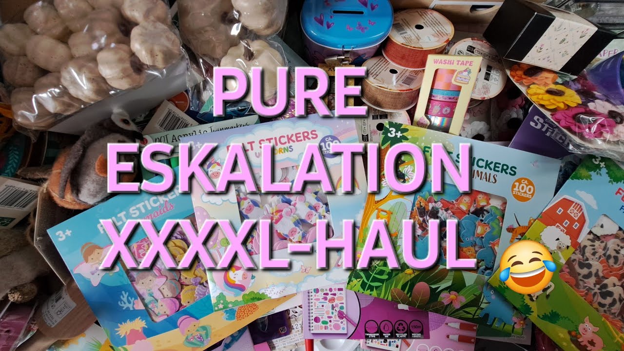 ✨️🍁🍂XXXXL HAUL I ACTION I HERBST U CO🍂🍁✨️