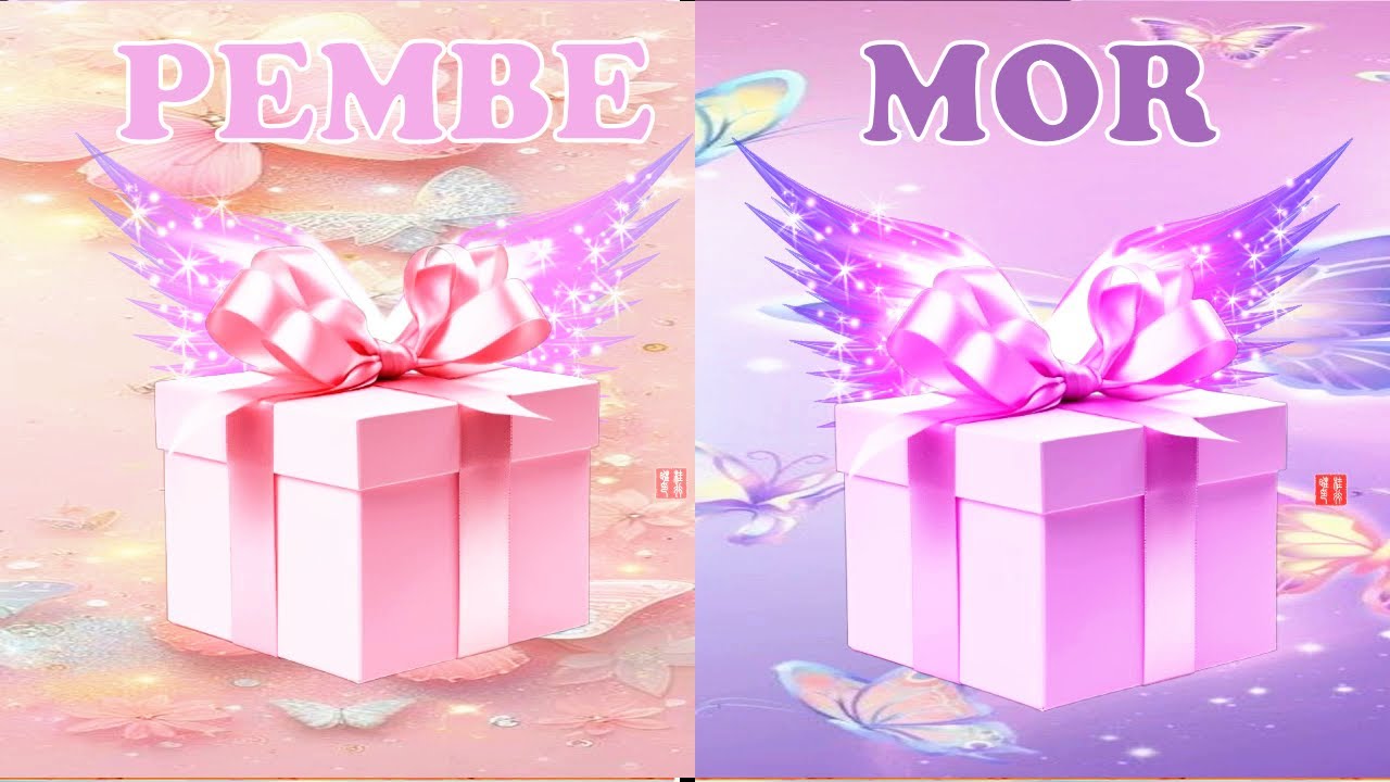 Pembe veya Mor Hediye Kutusundan Birini Se&ccedil; 🎁😍Sana &Ccedil;ıkan İyi yada K&ouml;t&uuml; Hediyeyi G&ouml;r🎁Choose Your Gift