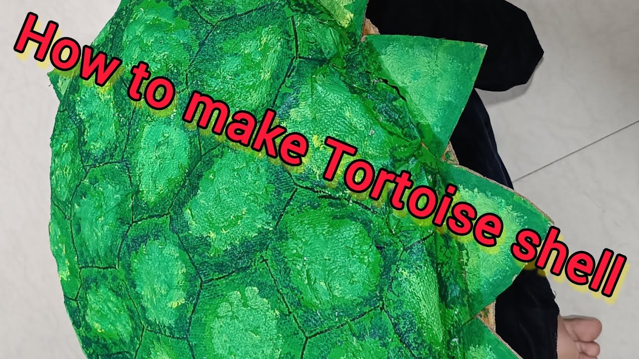 How to make Tortoise 🐢 shell
