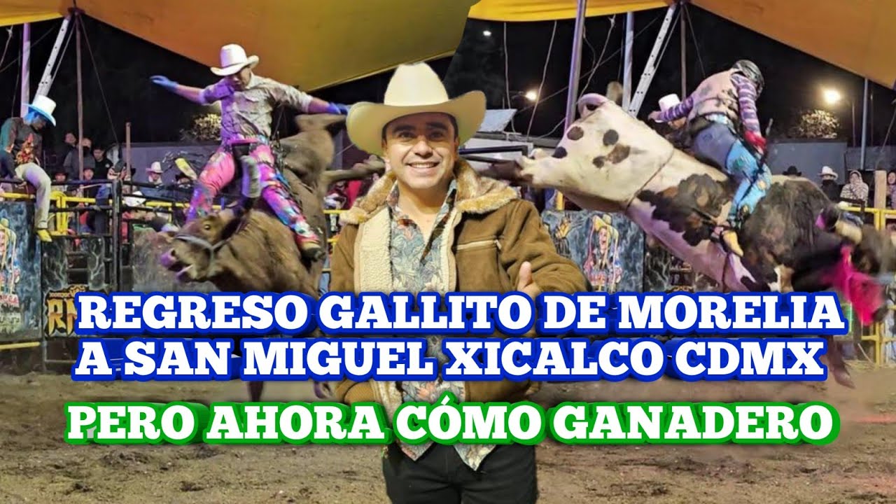 Rancho nuevo talento de gallito de Morelia en San Miguel Xicalco vaya jugada buenas quedas  porrazos