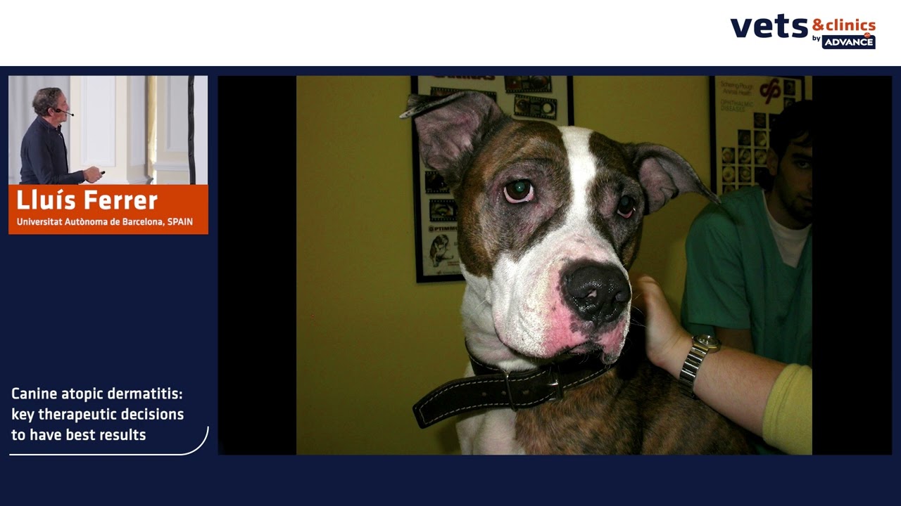 16. INT - Canine Atopic Dermatitis