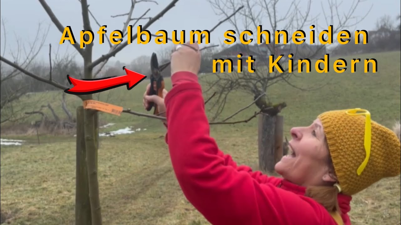 Apfelbaum richtig schneiden 🌳✂️ | Susi Sonne zeigt’s Kindern & Familien