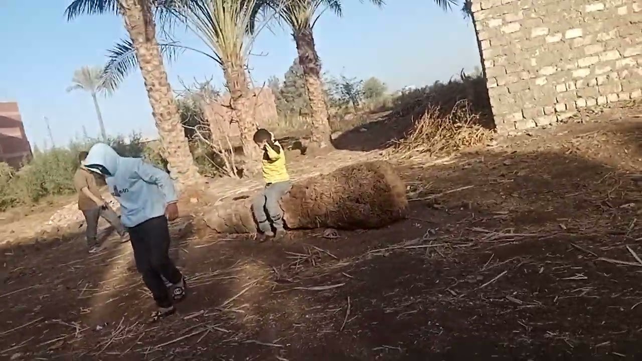 ١٨ فبراير، ٢٠٢٦