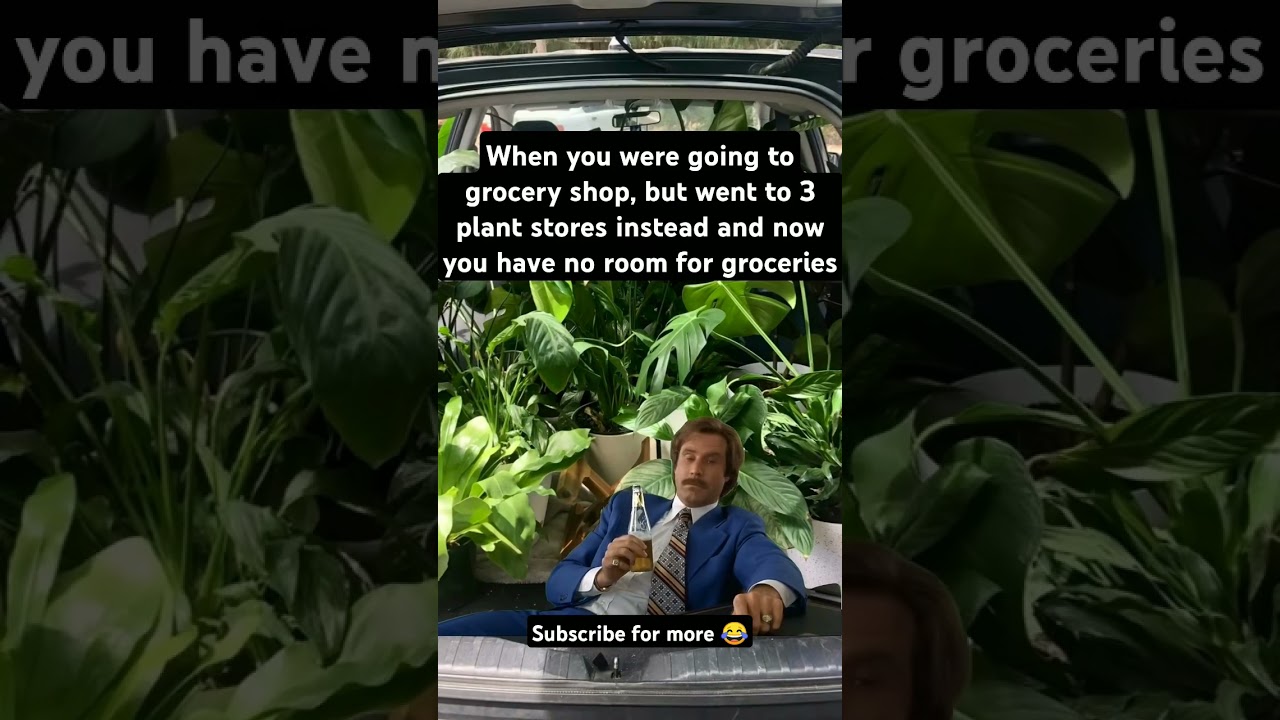 The problems with plant shopping. #homestead #garden #funny #shorts #shopping #spring