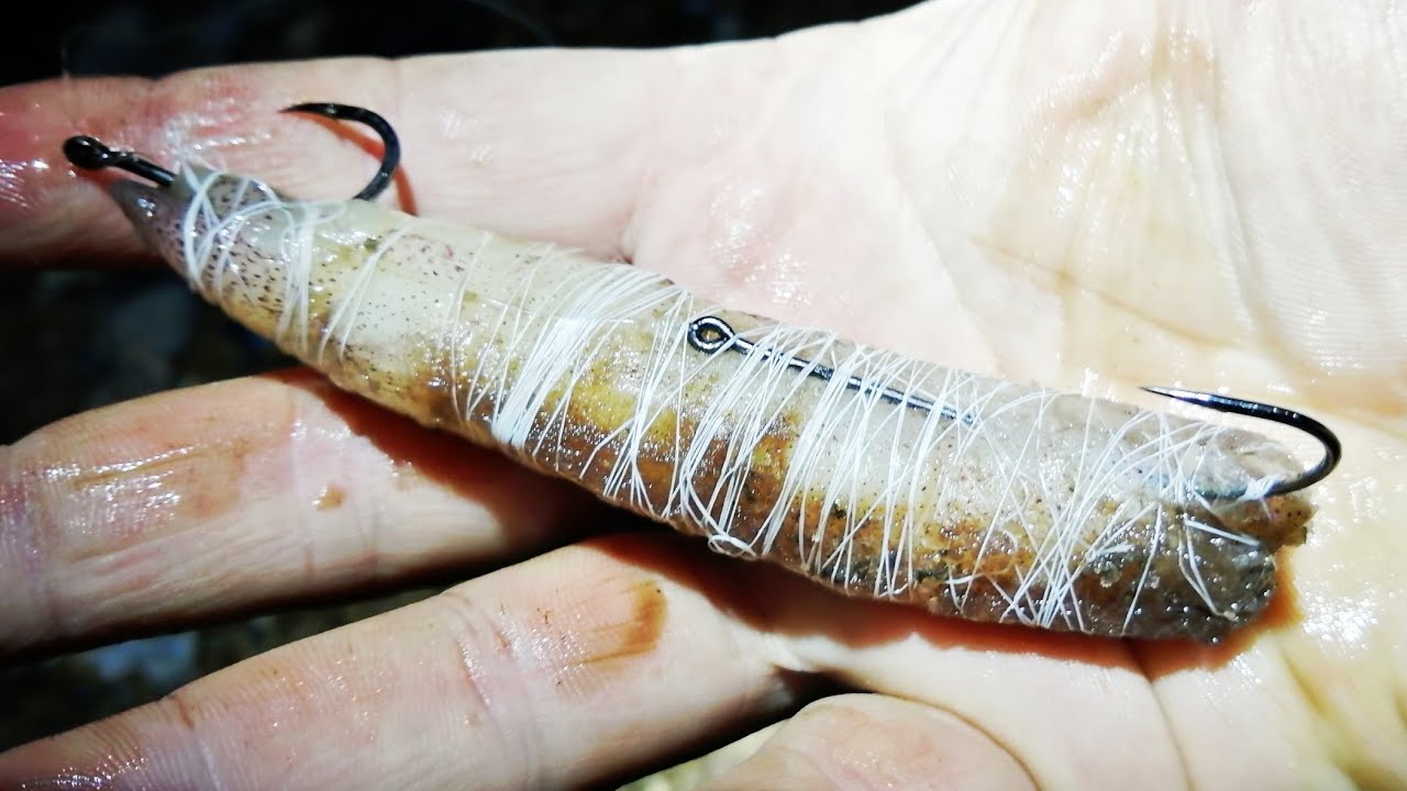 WINTER SHORE FISHING AT NIGHT - EASTBOURNE BEACH - RETURN OF THE WINTER MACKEREL - UK SEA FISHING