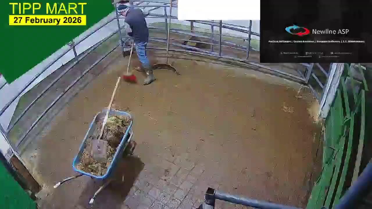 TIPPERARY TOWN MART,  27 Feb 2026