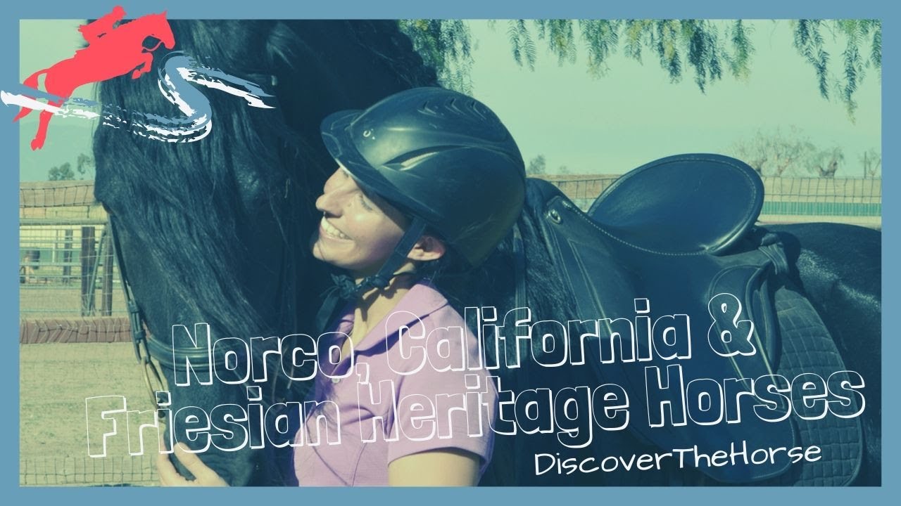 Norco, California is Built for Equestrians! | DiscoverTheHorse [Episode #12]