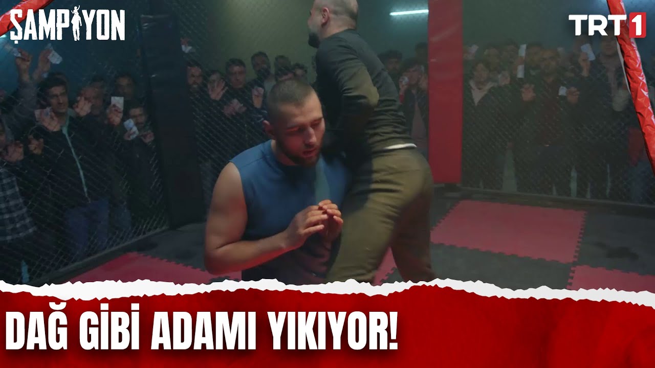 Bal porsuğu Zafer, Selvi için dövüşüyor! | @Şampiyon-m7w 24. Bölüm