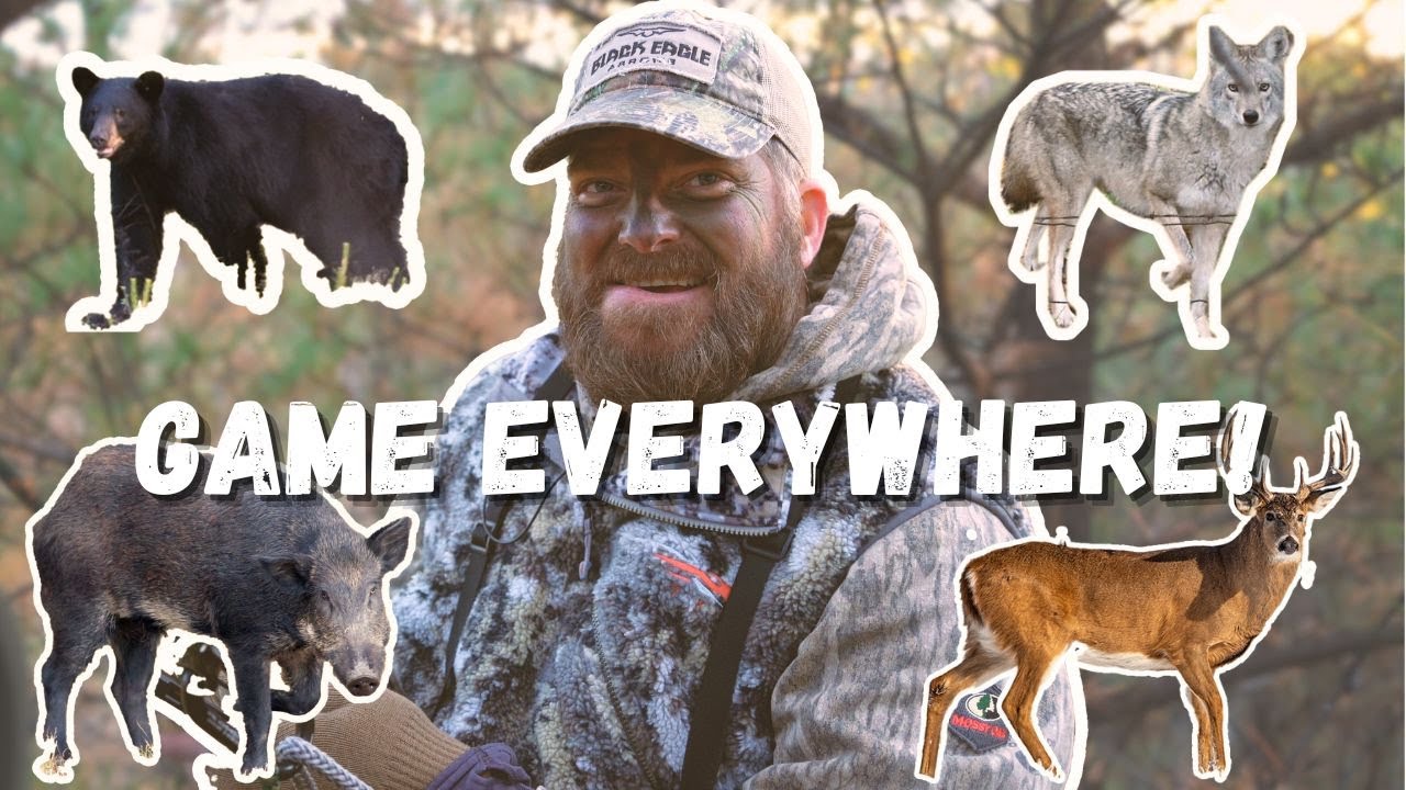 BUCKS, BEARS, COYOTES & HOGS - Deer Hunting in the Appalachian Mountains!