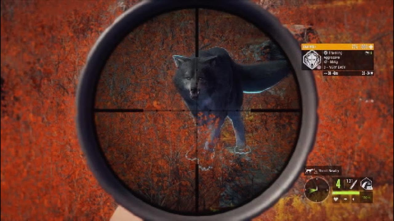 Dangerous hunt on Yukon valley leads to a wolf encounter in the hunter call of the wild