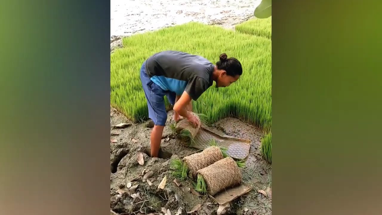 Try Not To Say WOW Challenge! Most Satisfying Videos Of Workers Doing Their Job Perfectly #021