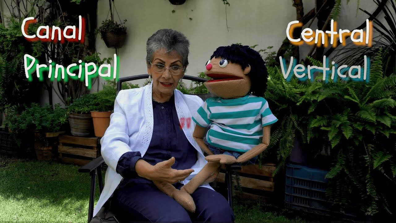 La Fuente de La Vida 🧘🧘‍♂️| Cuentos para niños con enseñanza ✨