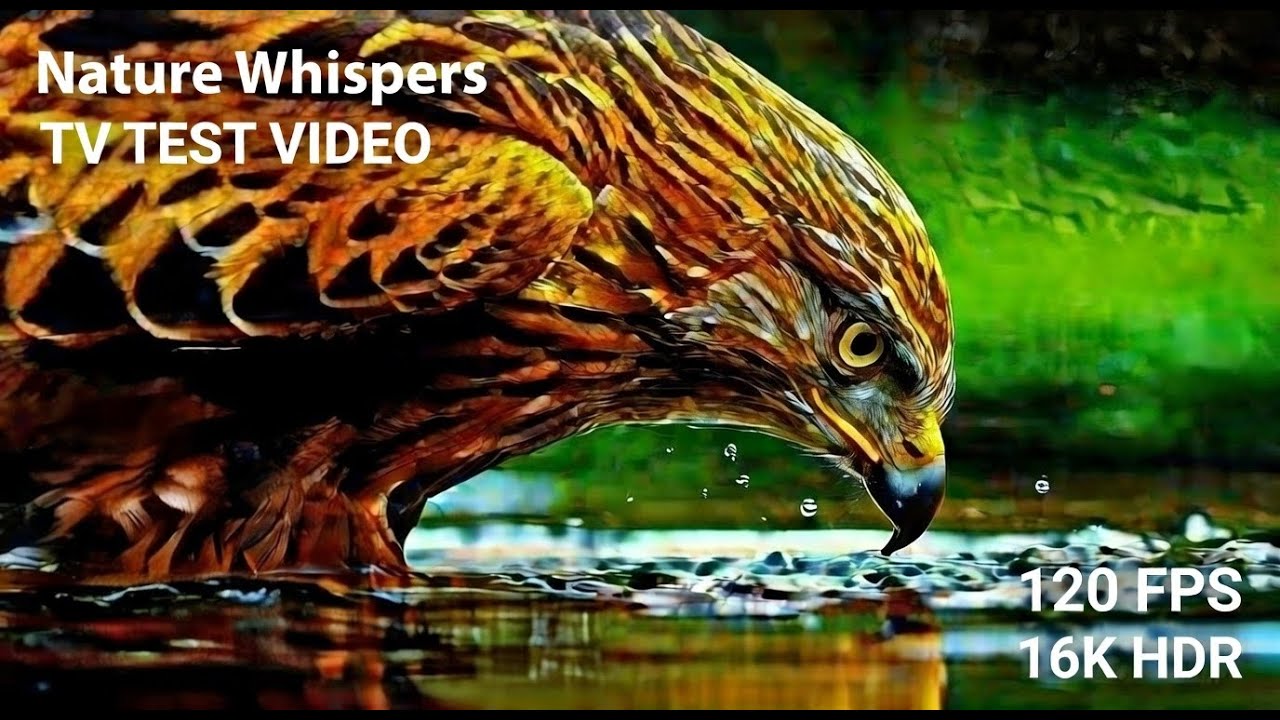 BEAUTIFUL OLED TEST DEMO  16K HDR 120 fps Dolby Vision 8K4K Video TV