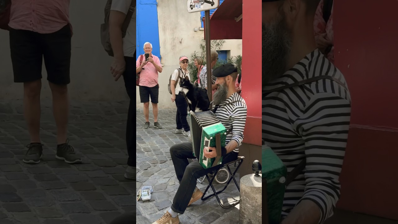 Melodies of Montmartre: Accordion Maestro and His Feline Muse 🎵🐱 Parisian Street Musician
