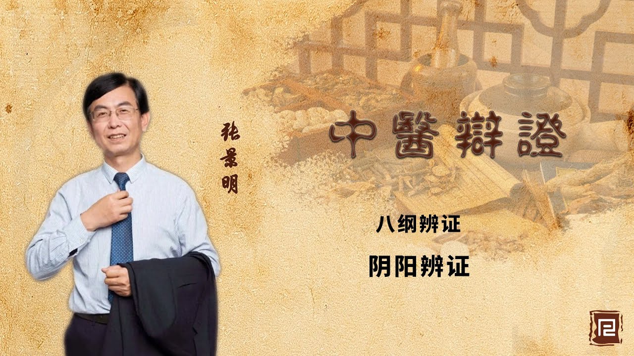 八纲辨证 - 阴阳辨证