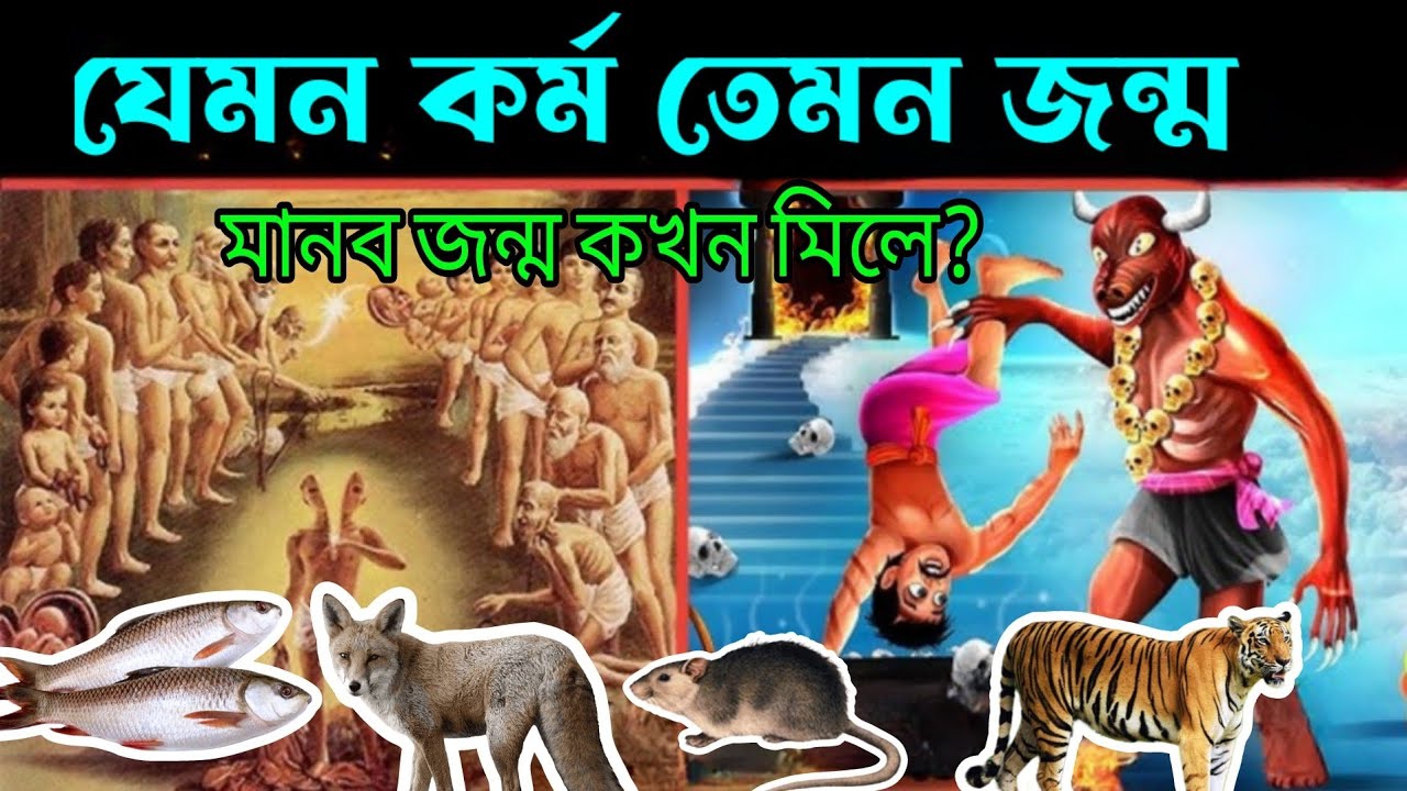 🌹গরুড় পুরান 🌹 যেমন কর্ম তেমন জন্ম 🌹 কর্মই আপনার পরজন্ম নির্ধারিত করে