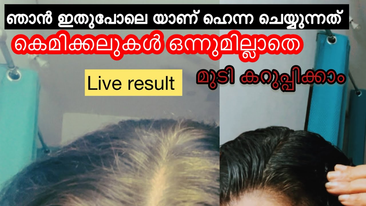 ഇനി ഹെന്ന ചെയ്ത് മുടി കറുത്തില്ല എന്നാരും പരാതി പറയില്ല | natural hair dye at home.