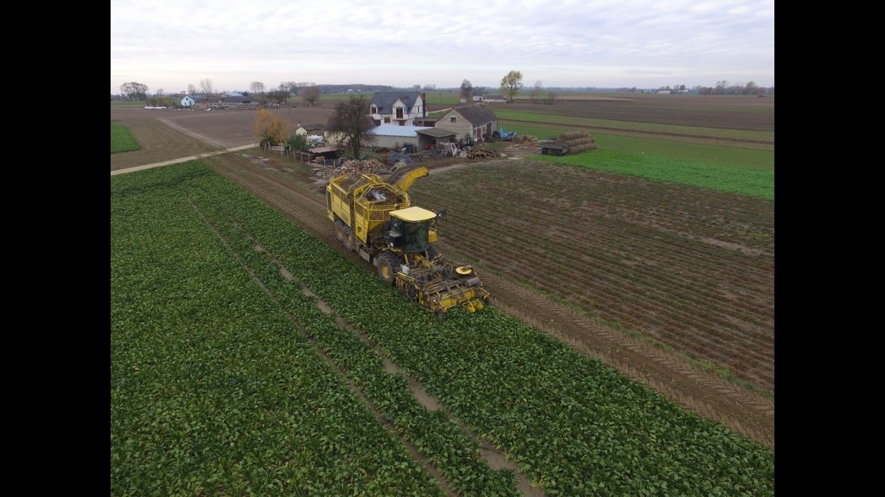 🌱||GoPro & DJI|| Kopanie buraków 2016🌱