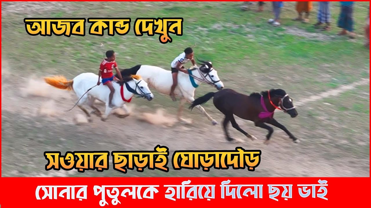 আজব কান্ড! সওয়ার ছাড়াই ঘোড়াদৌড় | সোনার পুতুলকে হারালো ছয় ভাই ঘোড়া || সুনামগঞ্জ কাঠালিয়া ঘোড়াদৌড় ২০২৫